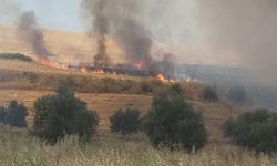 اعتقال شخصين يشتبه في تورطهما في إضرام النار بالحقول الزراعية بضواحي تراب جماعة سيدي حرازم نواحي فاس