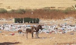 المعازيز إقليم الخميسات تراكم النفايات وإحراق الأزبال يثيران غضب الساكنة ومطالب بتدخل عامل إقليم الخميسات